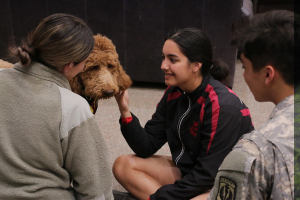 52938175470_931ed4f736_c