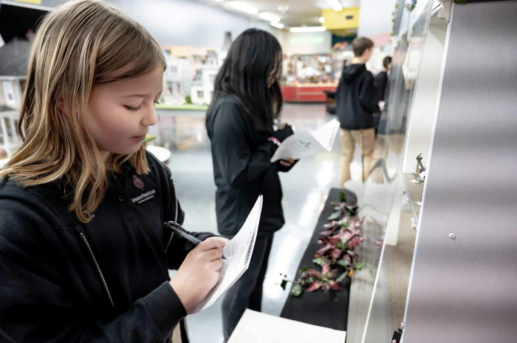 54253860452_c79ce9bb39_o